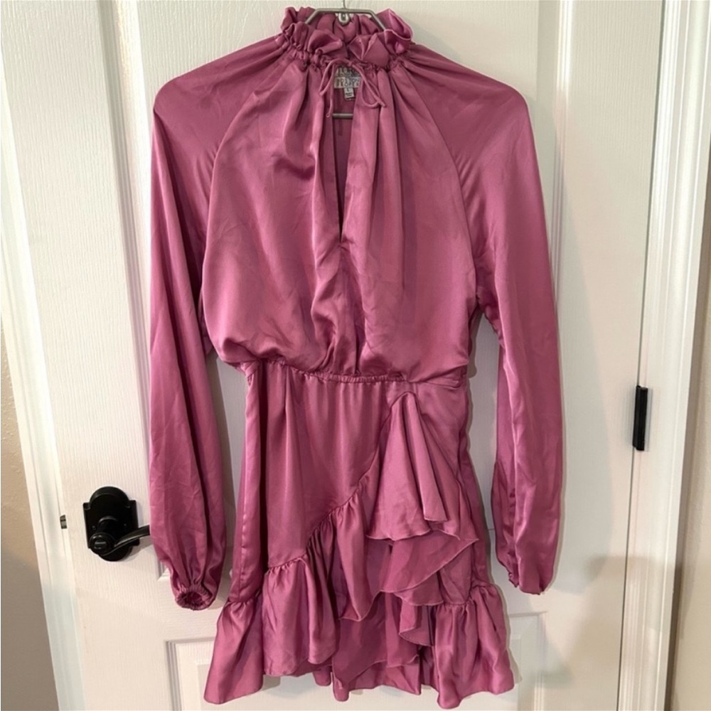 Torn by Ronny Kobo Charm Pink Long Sleeve Ruffle Dress. L  NWOT